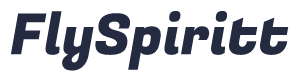 Spirit Airlines Official Website Logo